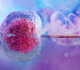 The History and Future of IVF: Why Fertility Care Continues to Evolve