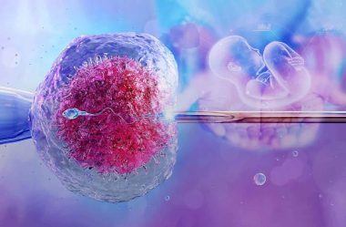 The History and Future of IVF: Why Fertility Care Continues to Evolve