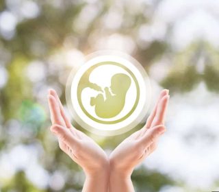 IVF After 49: What the Latest Data Says About Pregnancy Success