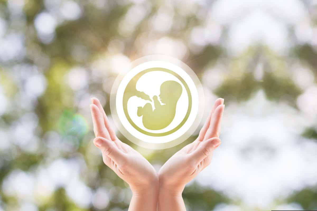 Pregnancy
