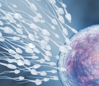 Male Fertility and IVF: What Falling Sperm Counts Could Mean