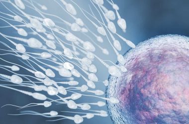 Male Fertility and IVF: What Falling Sperm Counts Could Mean