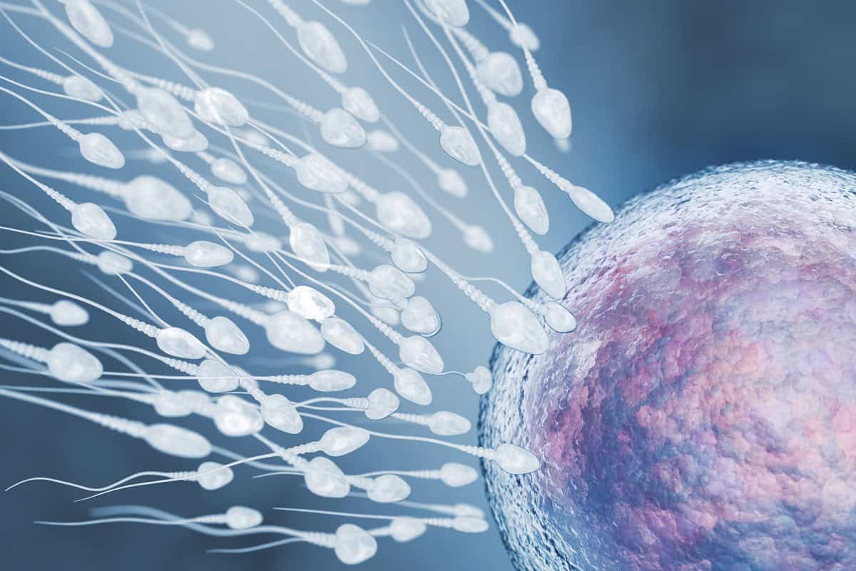 ivf