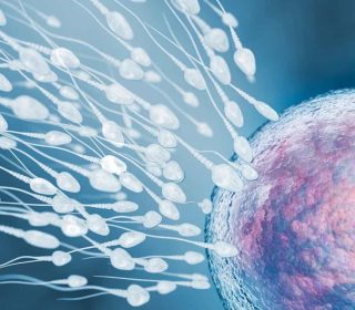 Beyond the Microscope: How AI Is Shaping the Future of IVF