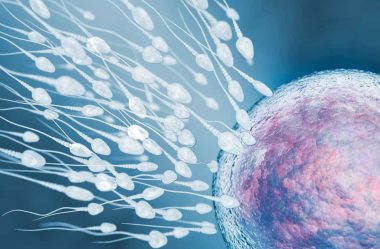 Beyond the Microscope: How AI Is Shaping the Future of IVF